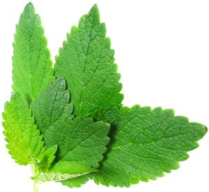 Click to Subscribe to www.ArtAndArtDeadlines.com by Email!