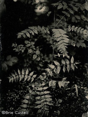 Learn more about Juror Brie Castell!