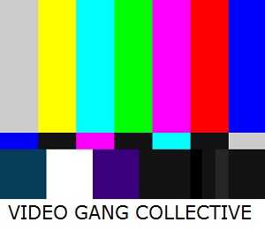 Read the Full Call from Video Gang Collective!