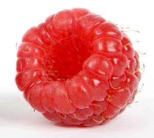 Click to Subscribe to www.ArtAndArtDeadlines.com by Email!