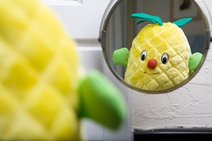 Learn more about Plush Stories!