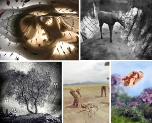 Learn more about the Illusion show from C4FAP!