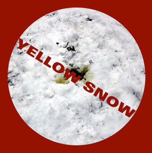 Learn more about the Yellow Snow show!