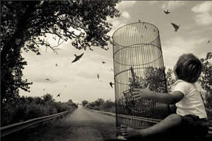 Photo by Juror Angela Bacon-Kidwell! 