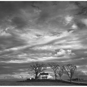 Art by Michael Knapstein a Linus Galleries artist