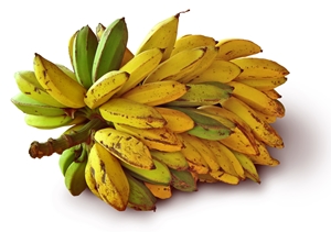 Click to Subscribe to www.ArtAndArtDeadlines.com by Email!