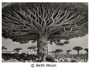 Learn more about Juror Beth Moon!