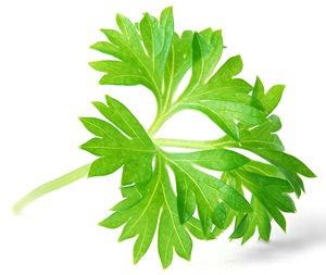 Click to Subscribe to www.ArtAndArtDeadlines.com by Email!