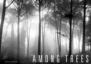 Learn more about Juror Sean Kernan!