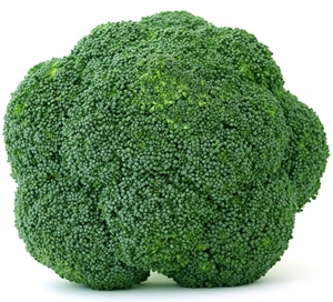 Click to Subscribe to www.ArtAndArtDeadlines.com by Email!