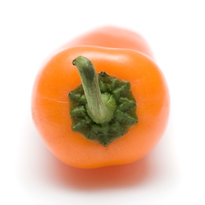 Click to Subscribe to www.ArtAndArtDeadlines.com by Email!