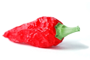 Click to Subscribe to www.ArtAndArtDeadlines.com by Email!