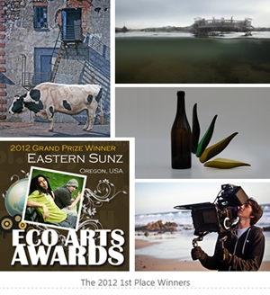 Learn more about the ECO Art Awards!