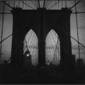 Learn more about the Juror for the Altered show at Open Shutter Gallery!