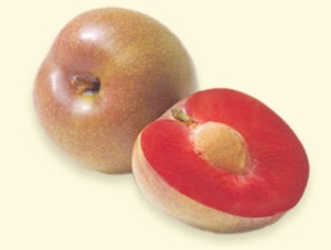 Click to Subscribe to www.ArtAndArtDeadlines.com by Email!