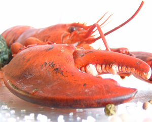 Click to Subscribe to www.ArtAndArtDeadlines.com by Email!