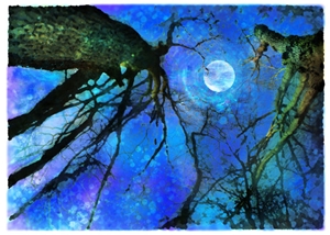 Learn more about Art Every Day 2 U! 