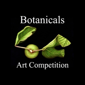 Learn more about the Botanicals show from the Light Space and Time Gallery!