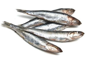 Click to Subscribe to www.ArtAndArtDeadlines.com by Email!