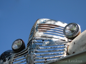 Learn more about the Hit the Road exhibit!