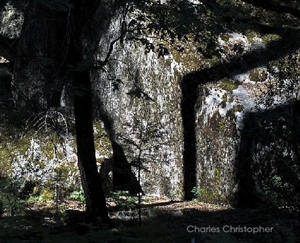 Learn more about the Shadows exhibit at the Linus Galleries!
