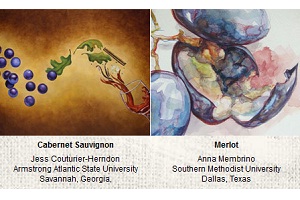 Learn more about the winners of the 2011 Canvas Wine Label Contest!