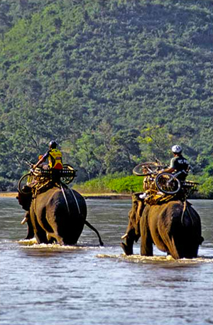 Photography by Juror Jock Montgomery