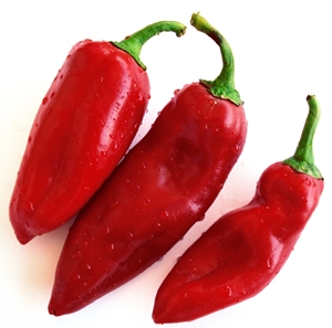 Click to Subscribe to www.ArtAndArtDeadlines.com by Email!