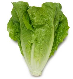 Click to Subscribe to www.ArtAndArtDeadlines.com by Email!