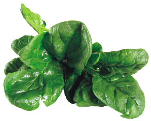 Click to Subscribe to www.ArtAndArtDeadlines.com by Email!