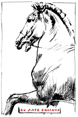 Learn more about the Ex Arte Equinus Show!