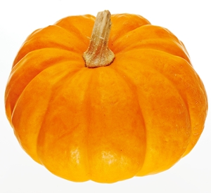 Click to Subscribe to www.ArtAndArtDeadlines.com by Email!