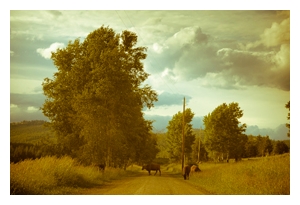 Learn more about the Poetic Landscape Exhibit from the Black Box Gallery!