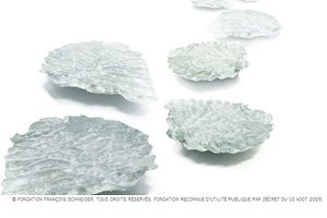 Learn more from the Fondation Francois Schneider!