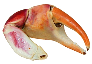 Click to Subscribe to www.ArtAndArtDeadlines.com by Email!