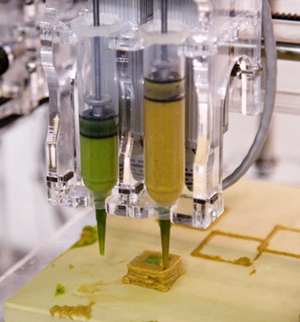 Click to Subscribe to www.ArtAndArtDeadlines.com by Email for FREE!