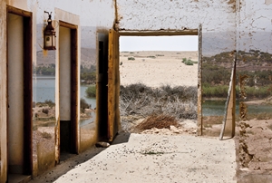 Learn more about the Nature Undisturbed show!