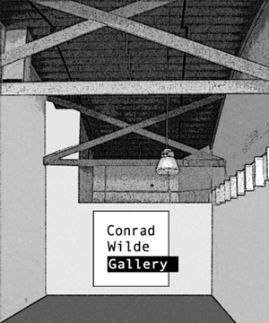 Read the Full Call from the Conrad Wilde Gallery!