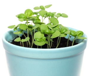 Click to Subscribe to www.ArtAndArtDeadlines.com by Email!