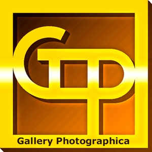 Learn more from Gallery Photographica!