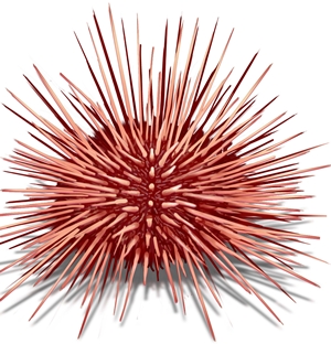 Click to Subscribe to www.ArtAndArtDeadlines.com by Email!