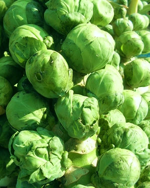 Click to Subscribe to www.ArtAndArtDeadlines.com by Email!