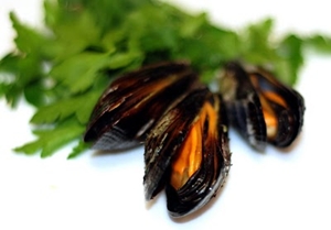 Click to Subscribe to www.ArtAndArtDeadlines.com by Email!