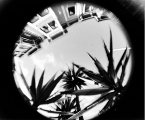 Learn more from Photobooth!