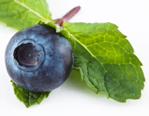 Click to Subscribe to www.ArtAndArtDeadlines.com by Email!