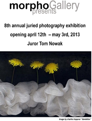 Learn more about the 8th Annual Juried Photography Show from the Morpho Gallery!