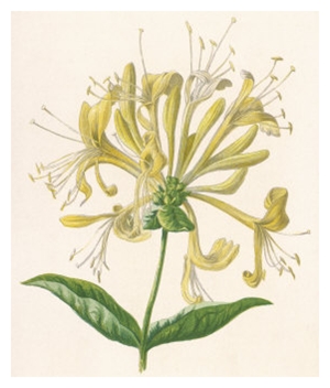 Click to Subscribe to www.ArtAndArtDeadlines.com by Email!