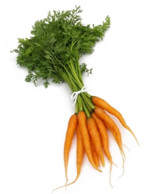 Click to Subscribe to www.ArtAndArtDeadlines.com by Email!