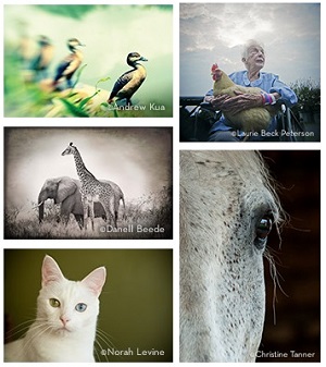 Learn more from Santa Fe Photographic Workshops!