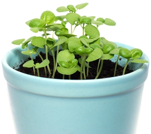 Click to Subscribe to www.ArtAndArtDeadlines.com by Email!